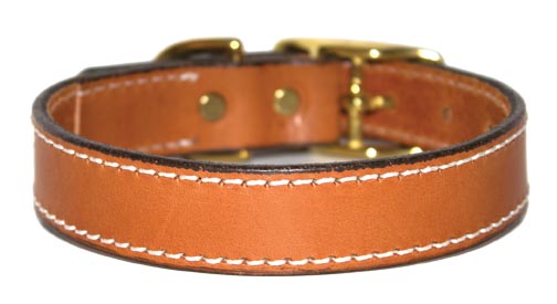 Premium Leather Dog Collars by Leather Brothers