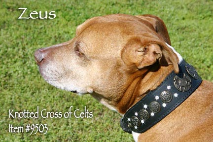 A4 Knotted Cross Zeus