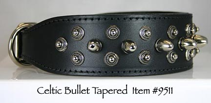 B8 Celtic Bullet 2