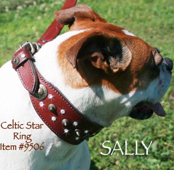 C 5Celtic Star Ring 9506