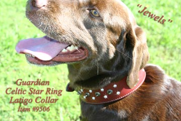 C2 Celtic Star Ring 9506