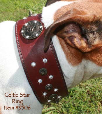 C5 Celtic Star Ring 9506