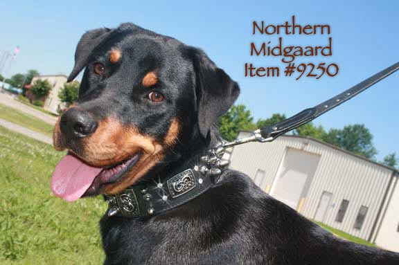 F3 Midgaard 9250 Roxy
