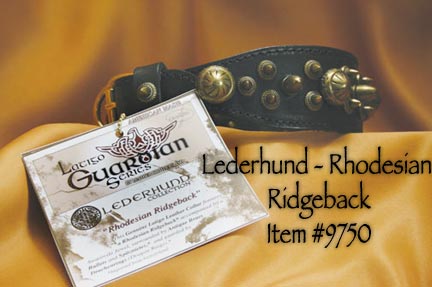 H1 Guardian-Leaderhu#40038