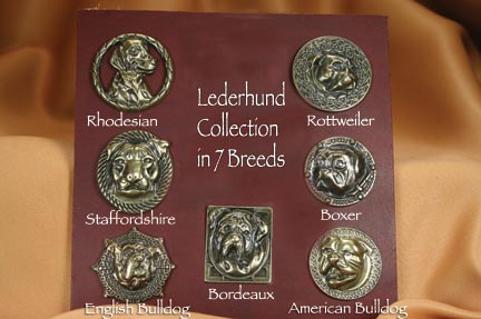 H2 Lederhund options