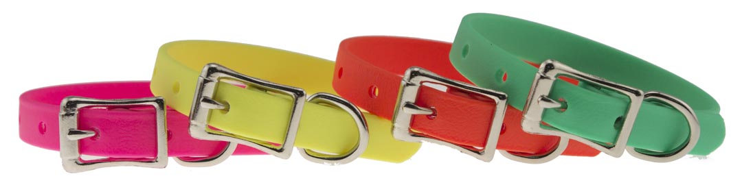 Zeta Neon Dog Collars Leather Brothers